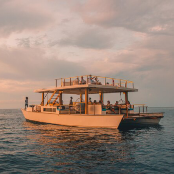 snorkeling cruise white boat
