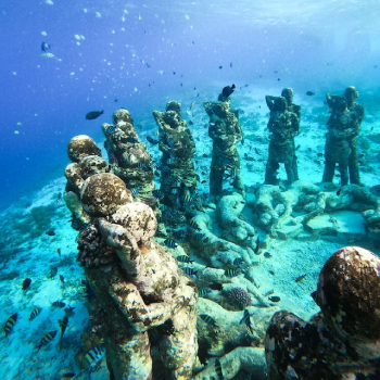 person snorkeling in a clear water