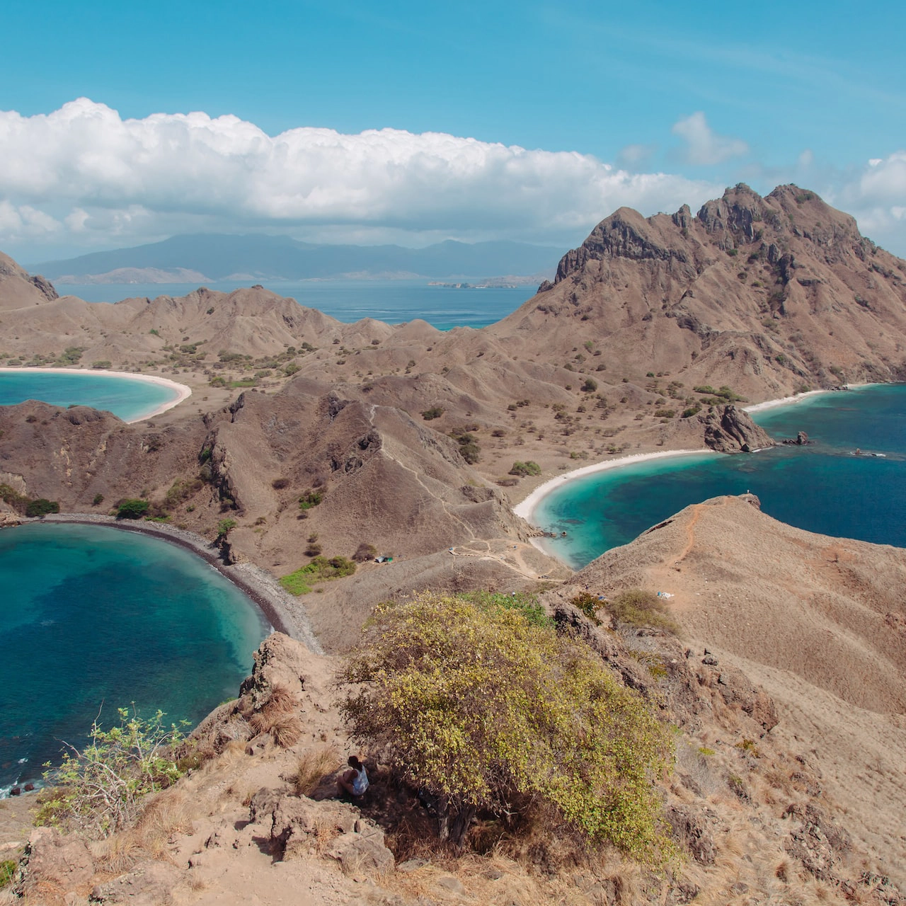 Padar island in the dry season