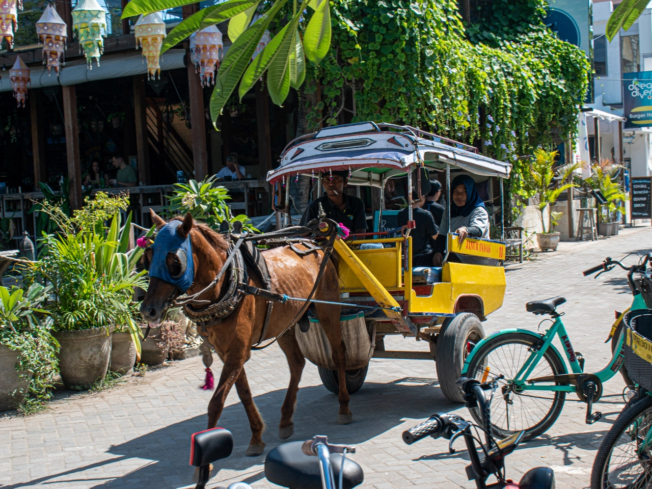 cidomo on gili trawangan