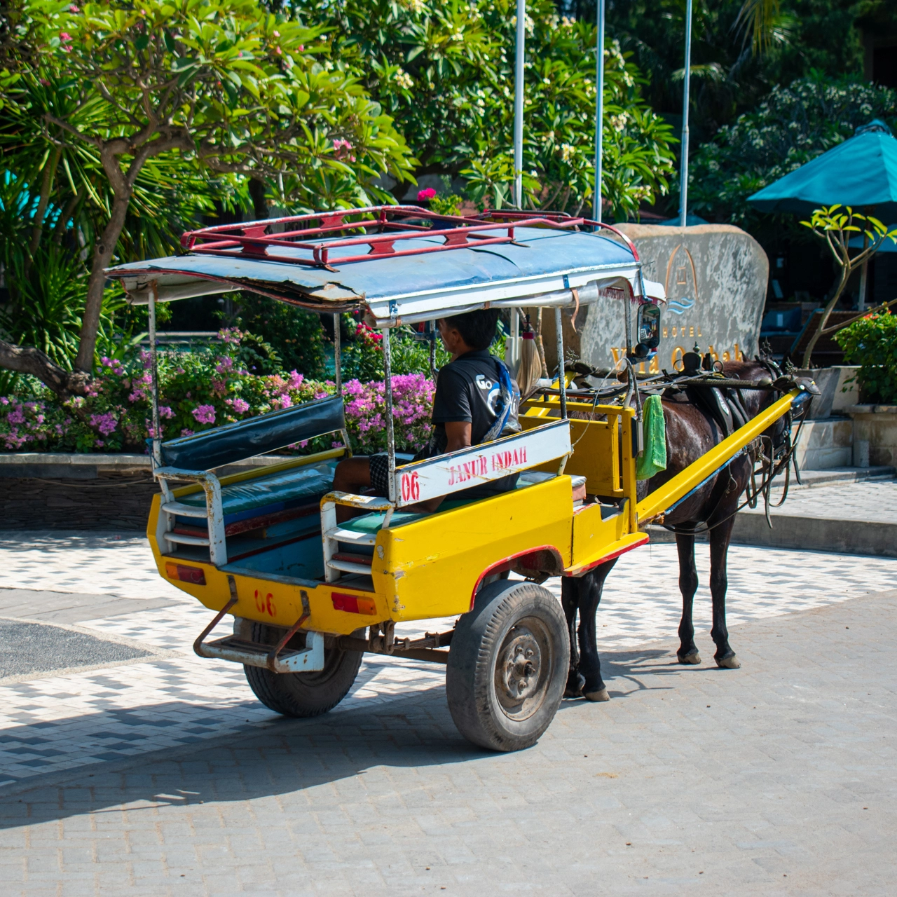 cidomo or horse cart on gili islands