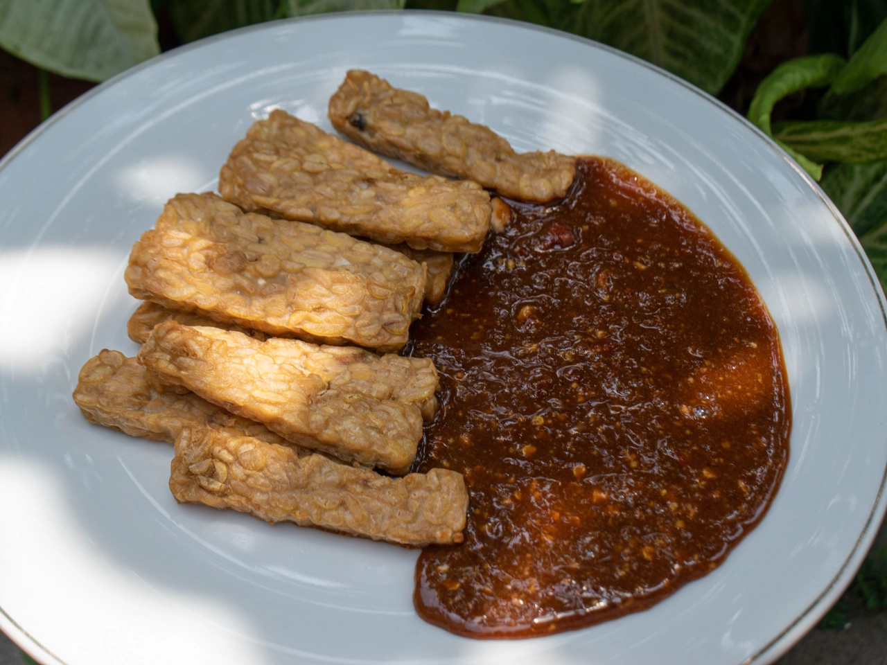 fried tempeh