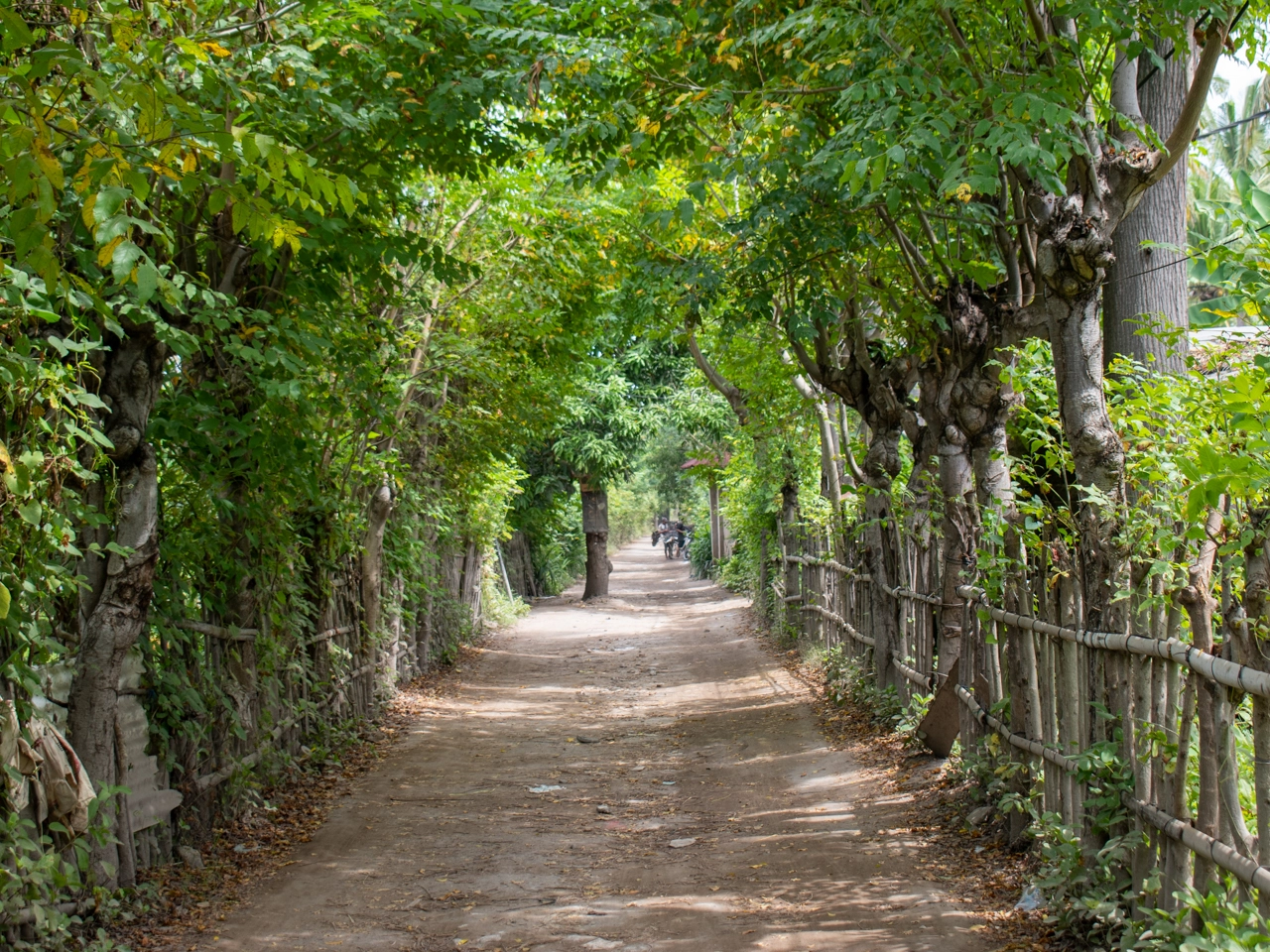 villa kelapa street gili trawangan